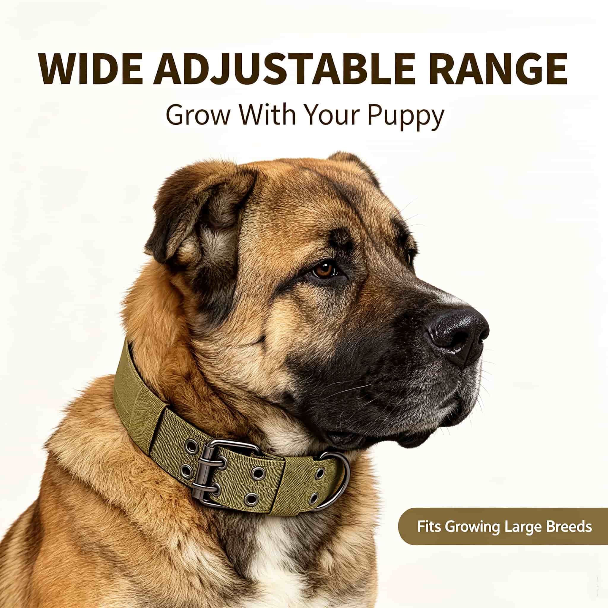 Camo Tactical Dog Collar Heavy - Outdoor Hunting Dog Collar ulasan dan harga
