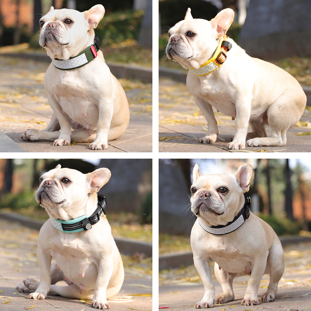 Outdoor Reflective Dog Collar  - Outdoor Hunting Dog Collar ulasan dan harga