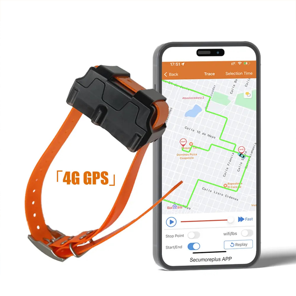 CY09A Portable Pet GPS Tracker - Outdoor Hunting Dog Collar ulasan dan harga