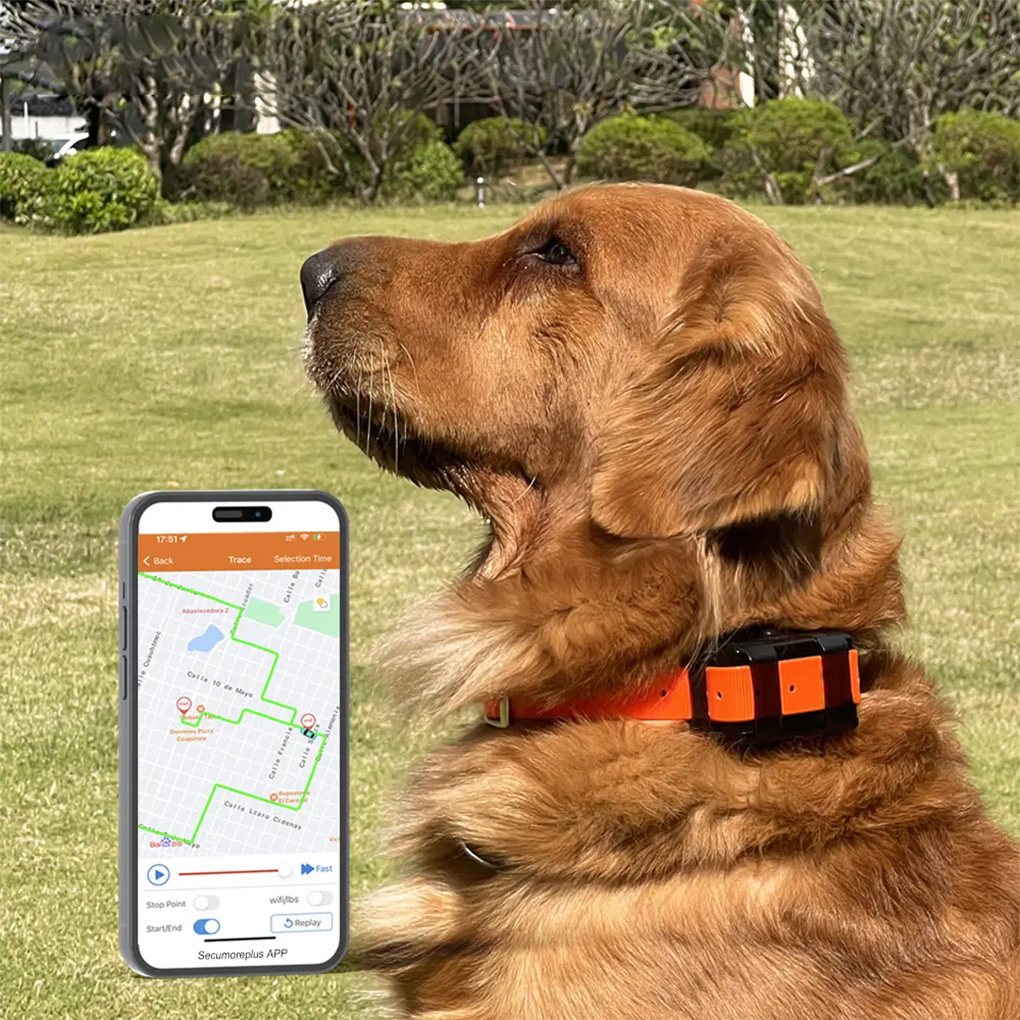 CY09A Portable Pet GPS Tracker - Outdoor Hunting Dog Collar ulasan dan harga