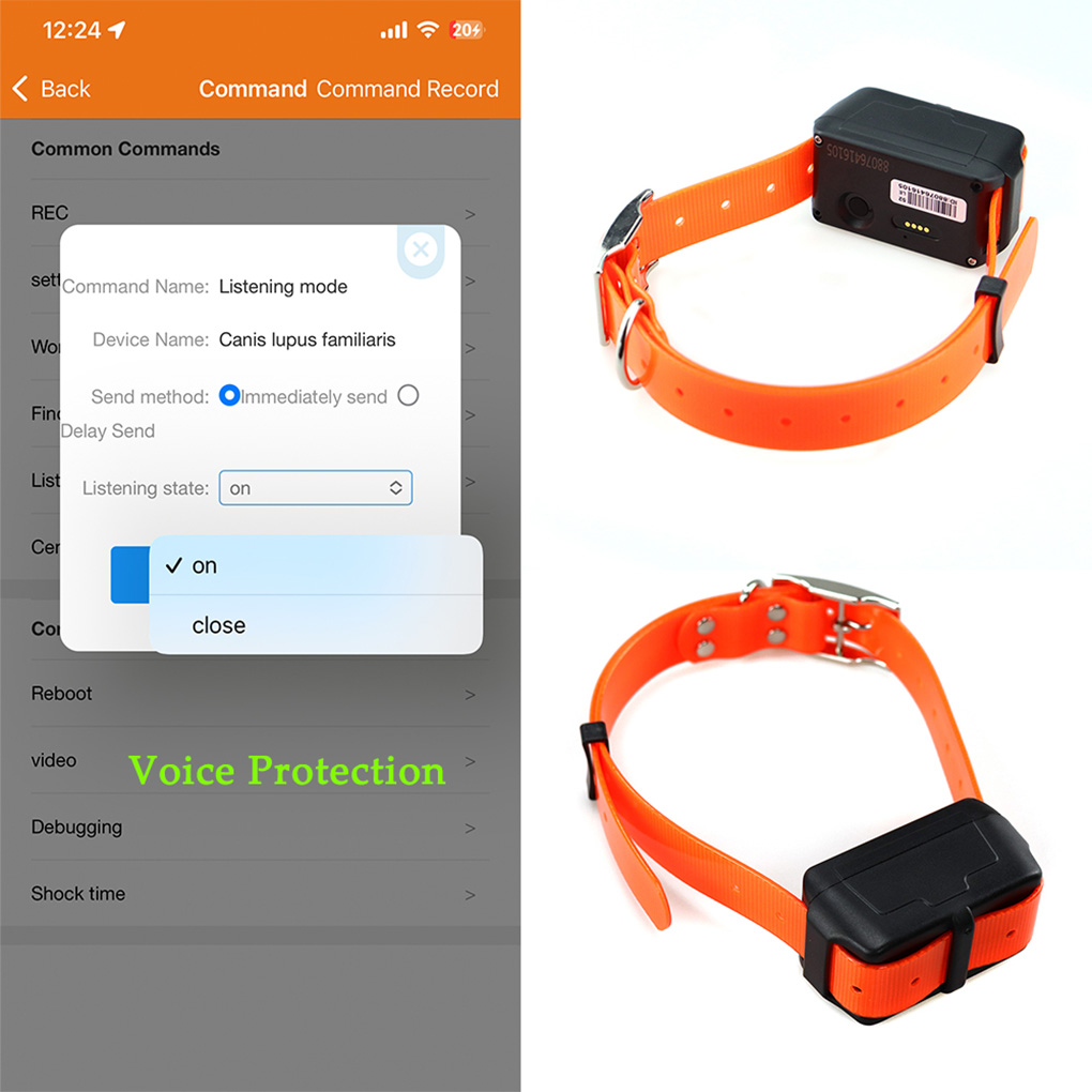 CY09A Portable Pet GPS Tracker - Outdoor Hunting Dog Collar ulasan dan harga