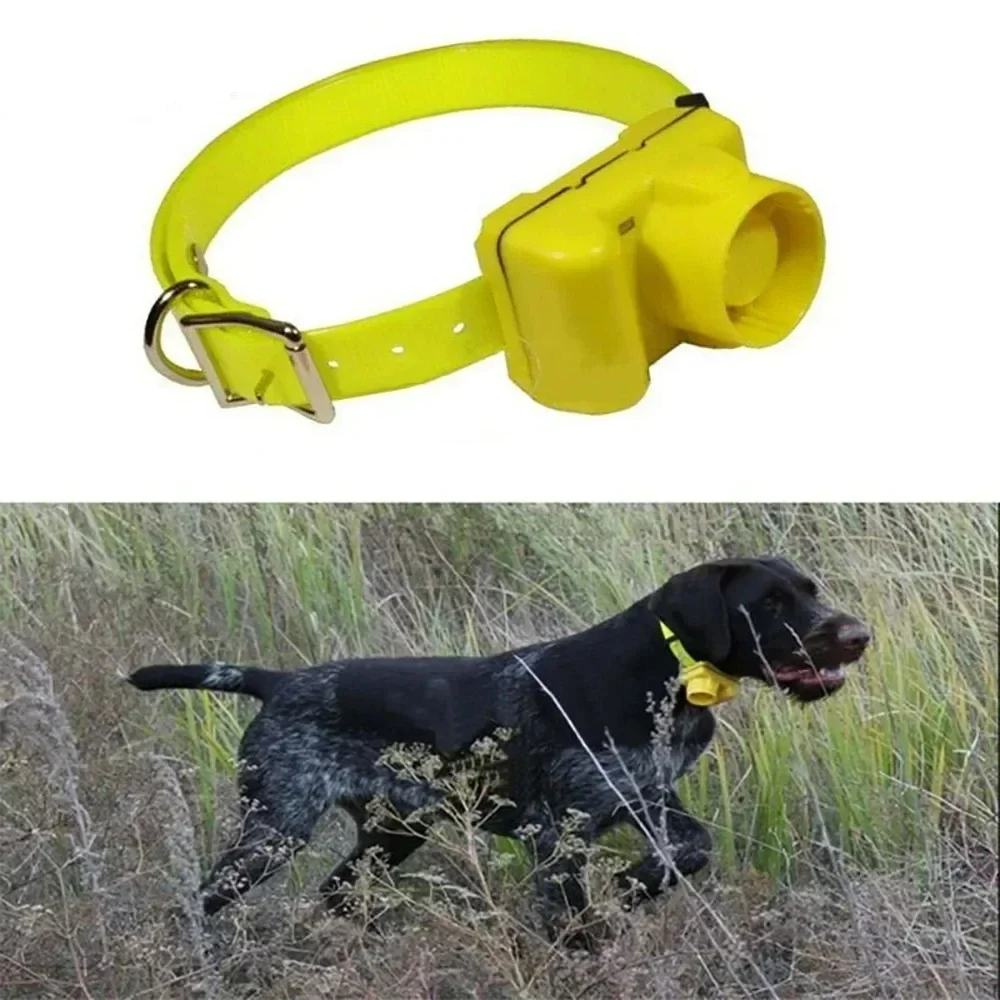 Updated Outdoor Hunting Dog Be - Outdoor Hunting Dog Collar ulasan dan harga