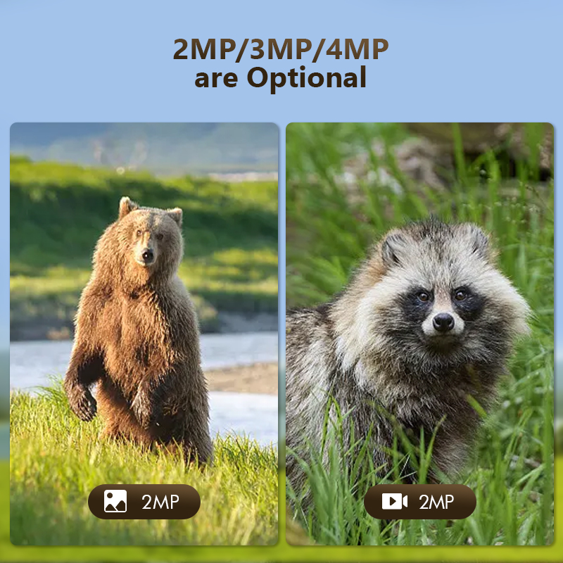4G 4MP Outdoor Wildlife Huntin - Outdoor Hunting Camera Wifi ulasan dan harga