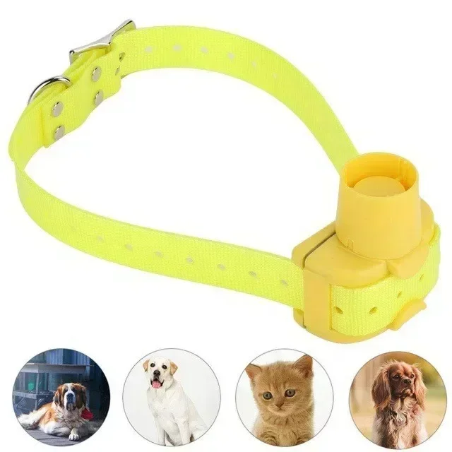 Updated Waterproof Hunting Dog - Outdoor Hunting Dog Collar ulasan dan harga