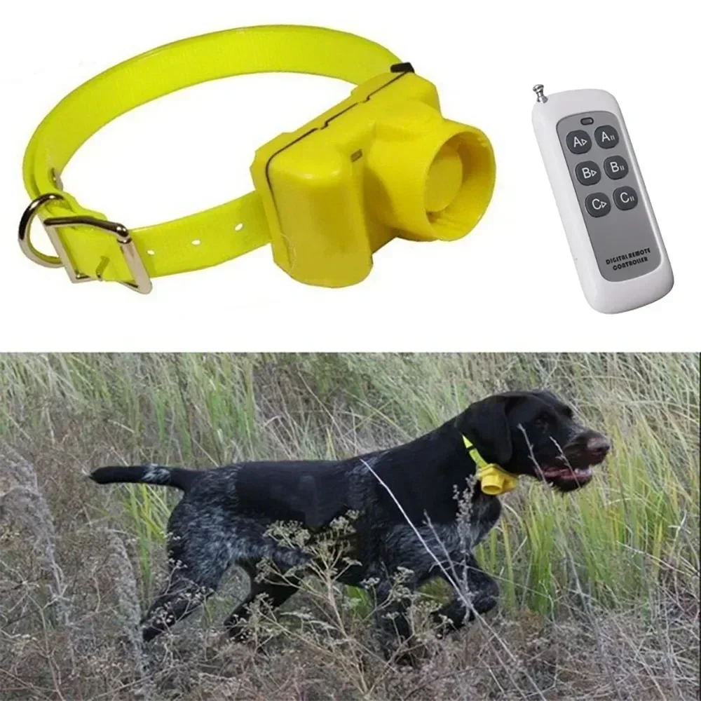 Updated Waterproof Hunting Dog - Outdoor Hunting Dog Collar ulasan dan harga