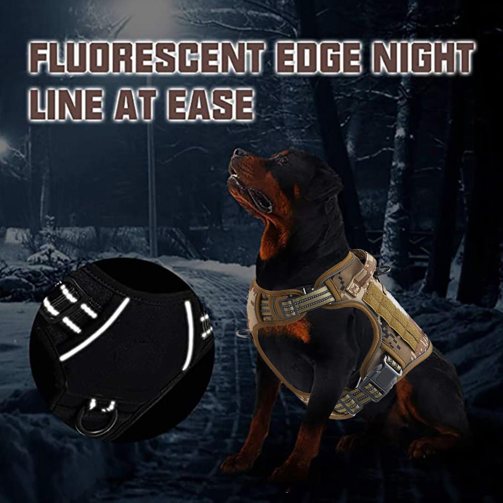 Dog Harness Metal Buckle Dog T - Outdoor Hunting Dog Collar ulasan dan harga