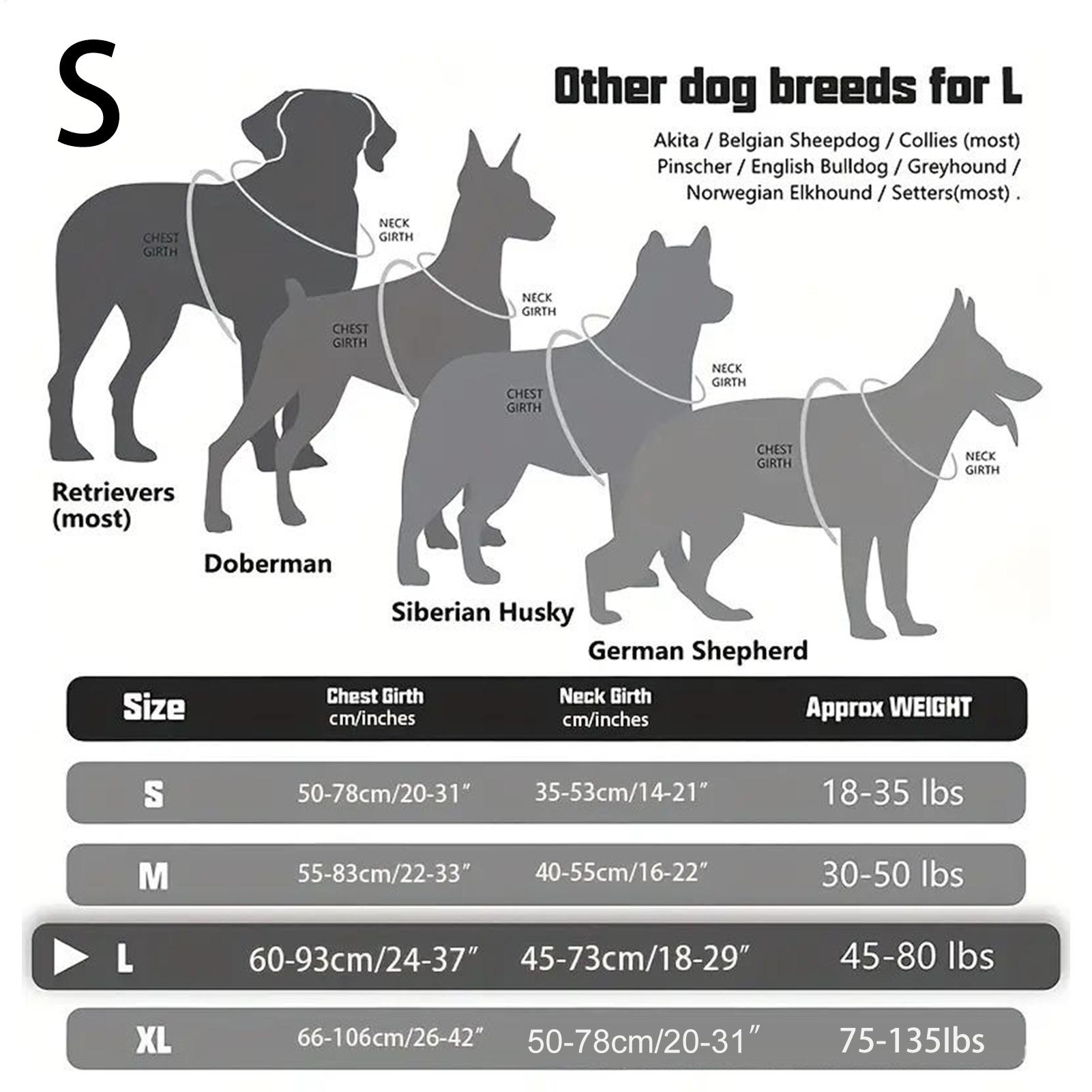Dog Harness Metal Buckle Dog T - Outdoor Hunting Dog Collar ulasan dan harga