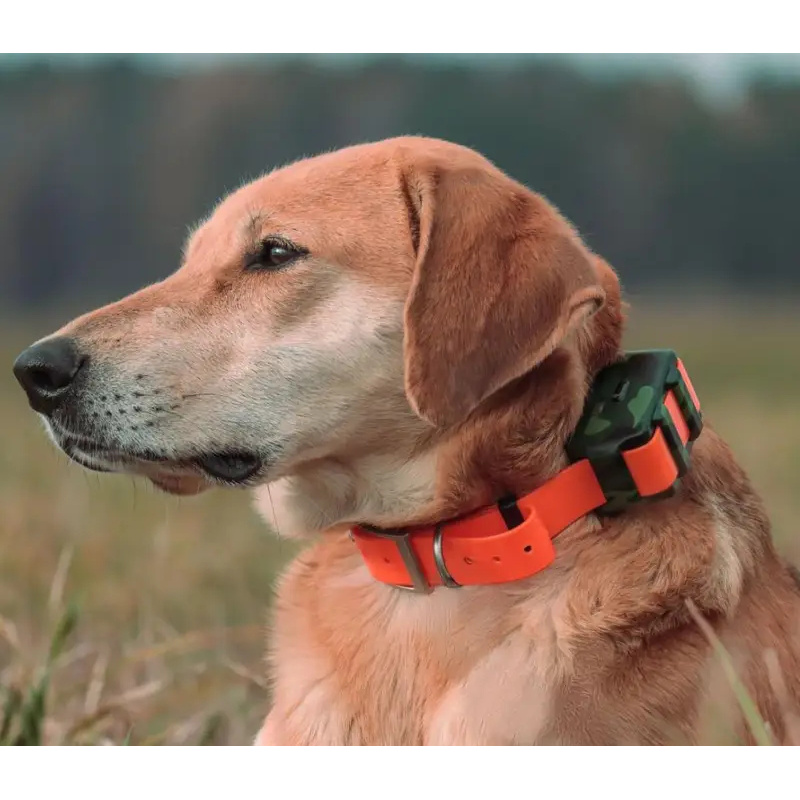 ICAR IK122M 2000mah Collar 4G  - Outdoor Hunting Dog Collar ulasan dan harga