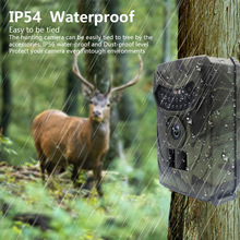 20MP 1080P PR100 Trail Camera  - Trail Camera Infrared ulasan dan harga