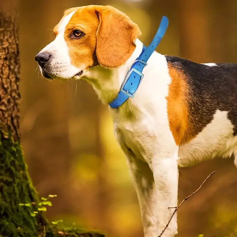 TPU Outdoor Pet Safety Collar  - Outdoor Hunting Dog Collar ulasan dan harga