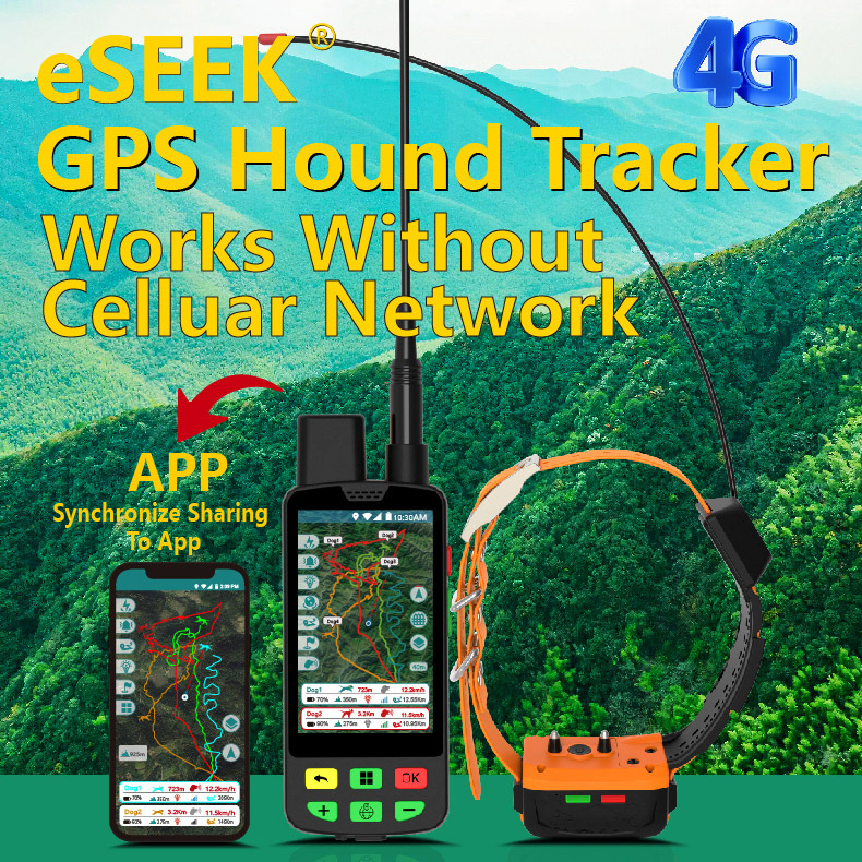 Wholesale 4G GPS Dog Collar an - Outdoor Hunting Dog Collar ulasan dan harga