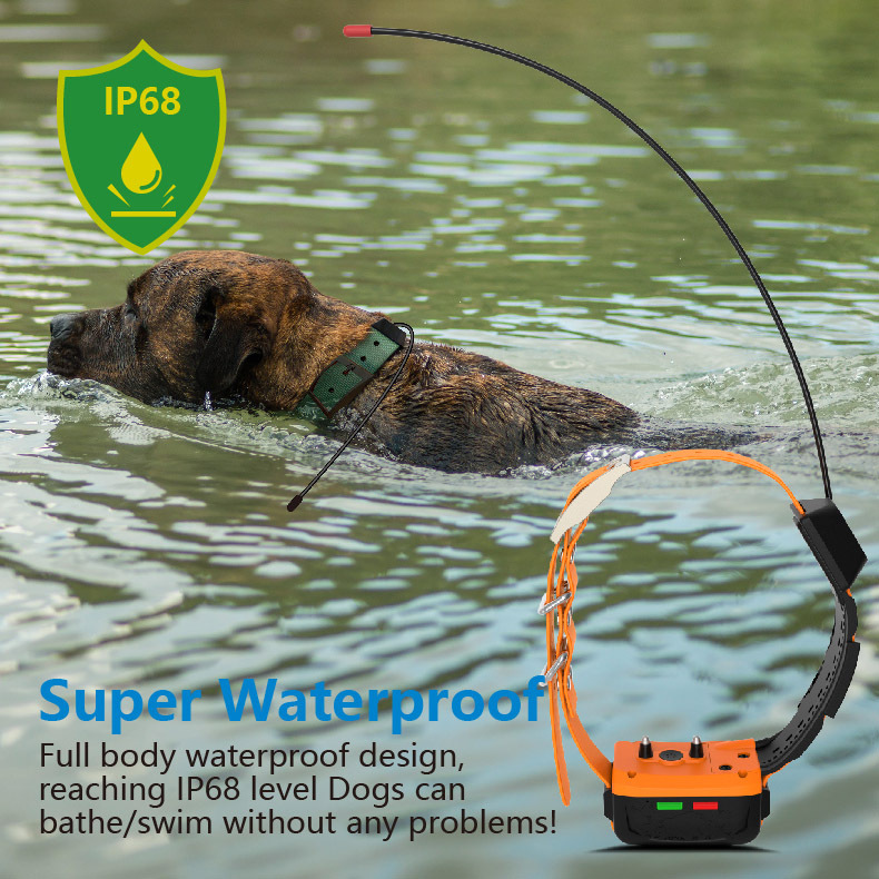 Wholesale 4G GPS Dog Collar an - Outdoor Hunting Dog Collar ulasan dan harga