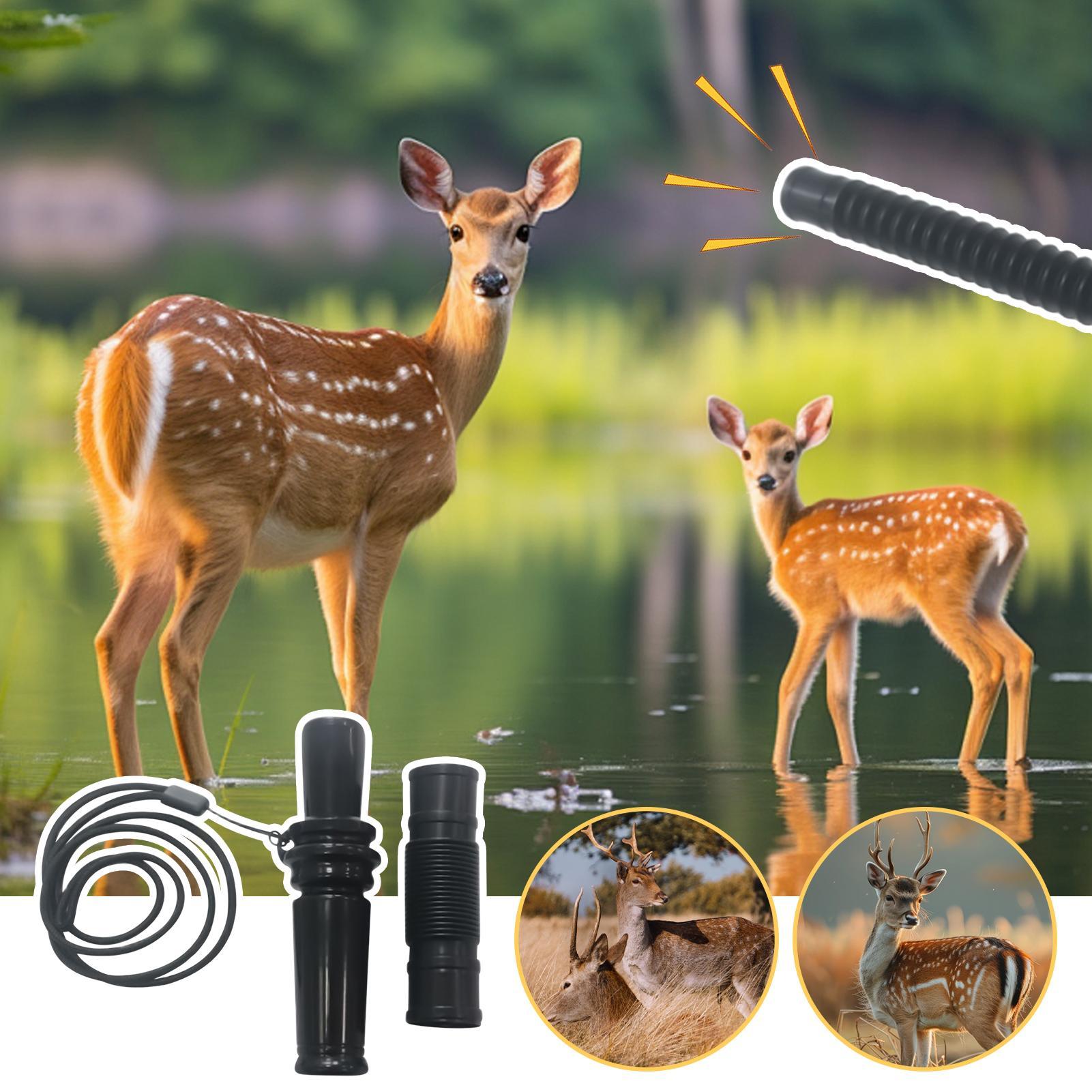 Lightweight Deer Hunting Grunt - Wildman Hunting & Outdoor Linton'S Corner Silver Lakes ulasan dan harga